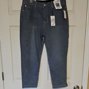 NWT Curve Appeal Concealed Comfort Medium Pinstripe Jeans